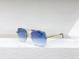 Picture of Cartier Sunglasses _SKUfw55220692fw